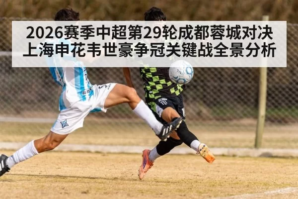 2026赛季中超第29轮成都蓉城对决上海申花韦世豪争冠关键战全景分析